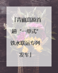 青藏高原首趟“一单式”铁水联运专列发车