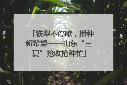 铁犁不停歇，播种新希望——山东“三夏”抢收抢种忙