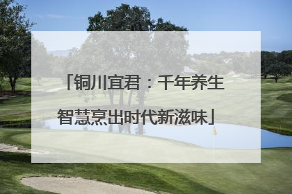 铜川宜君：千年养生智慧烹出时代新滋味