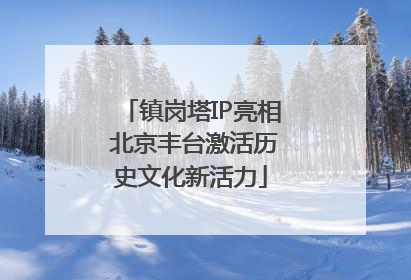 镇岗塔IP亮相 北京丰台激活历史文化新活力