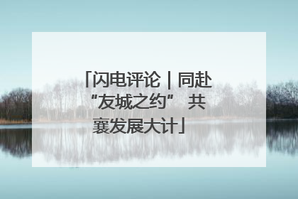 闪电评论｜同赴“友城之约” 共襄发展大计
