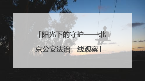阳光下的守护——北京公安法治一线观察