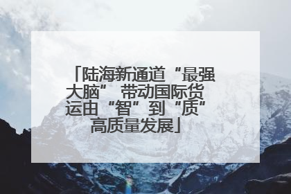 陆海新通道“最强大脑” 带动国际货运由“智”到“质”高质量发展