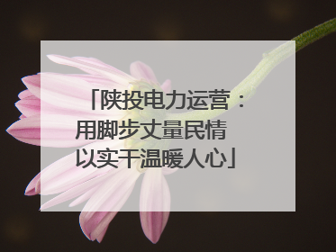 陕投电力运营：用脚步丈量民情 以实干温暖人心