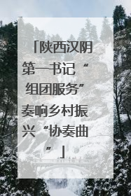 陕西汉阴第一书记“组团服务”奏响乡村振兴“协奏曲”