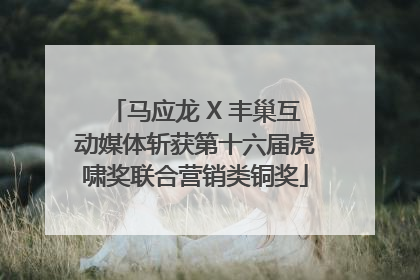 马应龙 X 丰巢互动媒体斩获第十六届虎啸奖联合营销类铜奖