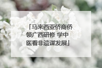 马来西亚侨商侨领广西研修 学中医看非遗谋发展