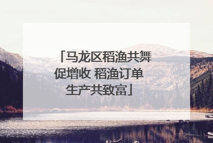 马龙区稻渔共舞促增收 稻渔订单生产共致富