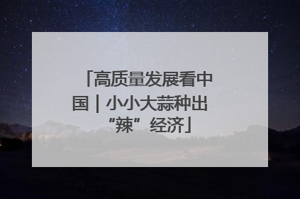 高质量发展看中国｜小小大蒜种出“辣”经济
