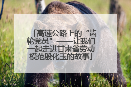 高速公路上的“齿轮党员”——让我们一起走进甘肃省劳动模范殷化玉的故事