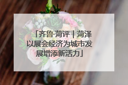 齐鲁·菏评｜菏泽以展会经济为城市发展增添新活力