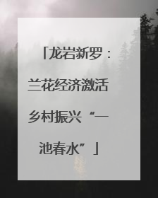 龙岩新罗：兰花经济激活乡村振兴“一池春水”