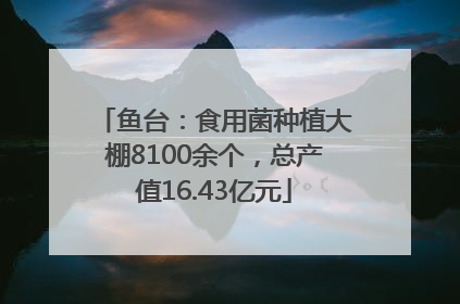 鱼台：食用菌种植大棚8100余个，总产值16.43亿元