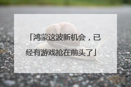 鸿蒙这波新机会，已经有游戏抢在前头了