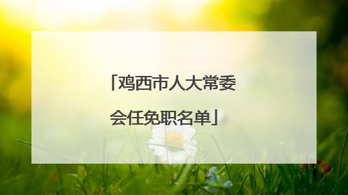 鸡西市人大常委会任免职名单