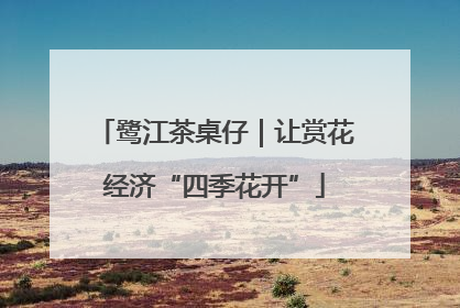 鹭江茶桌仔｜让赏花经济“四季花开”