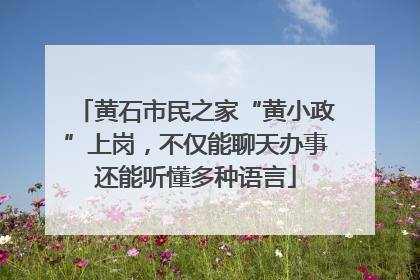 黄石市民之家“黄小政”上岗，不仅能聊天办事还能听懂多种语言