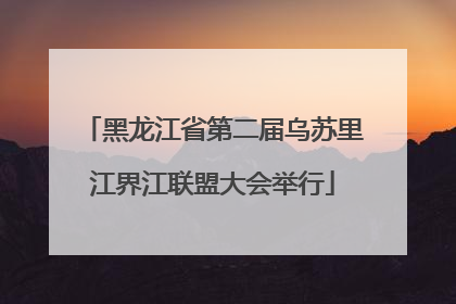 黑龙江省第二届乌苏里江界江联盟大会举行