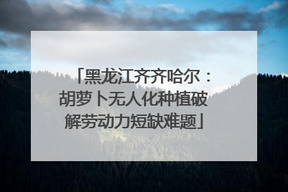 黑龙江齐齐哈尔：胡萝卜无人化种植破解劳动力短缺难题