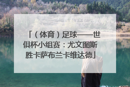 （体育）足球——世俱杯小组赛：尤文图斯胜卡萨布兰卡维达德