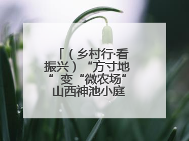（乡村行·看振兴）“方寸地”变“微农场” 山西神池小庭院拓宽致富路