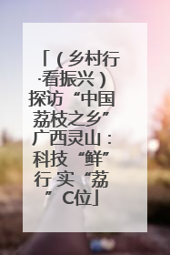 （乡村行·看振兴）探访“中国荔枝之乡”广西灵山：科技“鲜”行 实“荔”C位