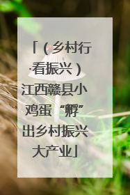（乡村行·看振兴）江西赣县小鸡蛋“孵”出乡村振兴大产业