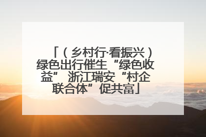 （乡村行·看振兴）绿色出行催生“绿色收益” 浙江瑞安“村企联合体”促共富