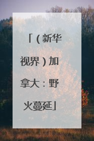 （新华视界）加拿大：野火蔓延