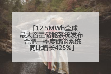 12.5MWh全球最大容量储能系统发布 合肥一季度储能系统同比增长425%