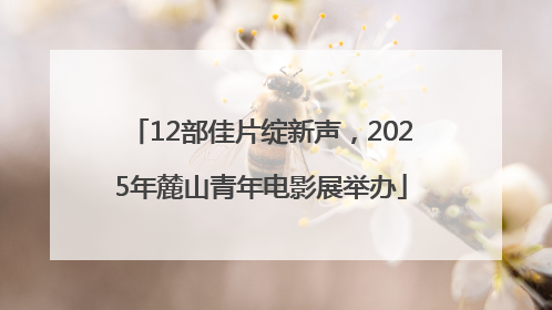 12部佳片绽新声，2025年麓山青年电影展举办