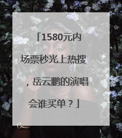 1580元内场票秒光上热搜，岳云鹏的演唱会谁买单？
