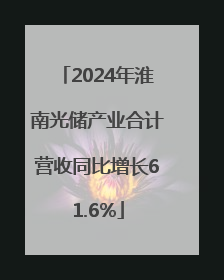 2024年淮南光储产业合计营收同比增长61.6%