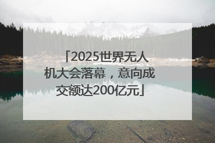 2025世界无人机大会落幕，意向成交额达200亿元