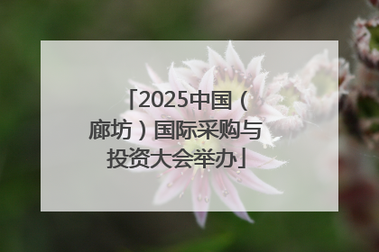 2025中国（廊坊）国际采购与投资大会举办