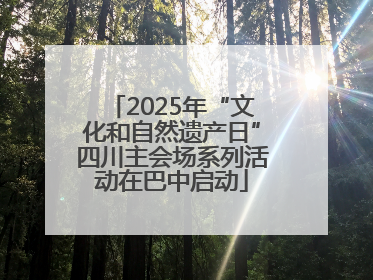 2025年“文化和自然遗产日”四川主会场系列活动在巴中启动