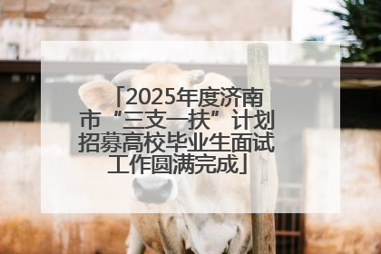 2025年度济南市“三支一扶”计划招募高校毕业生面试工作圆满完成