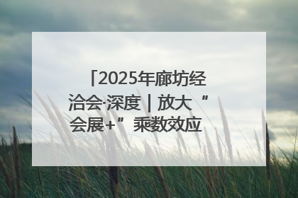 2025年廊坊经洽会·深度｜放大“会展+”乘数效应 打造消费新场景