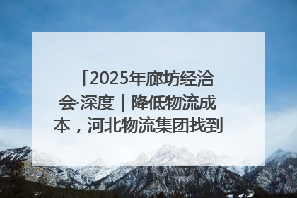 2025年廊坊经洽会·深度｜降低物流成本，河北物流集团找到一把“金钥匙”