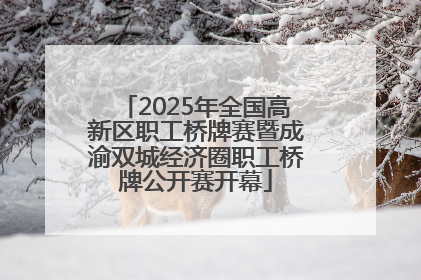 2025年全国高新区职工桥牌赛暨成渝双城经济圈职工桥牌公开赛开幕