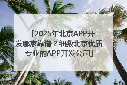 2025年北京APP开发哪家靠谱？细数北京优质专业的APP开发公司