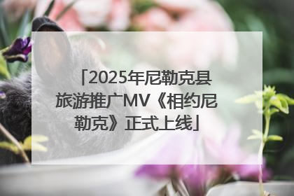 2025年尼勒克县旅游推广MV《相约尼勒克》正式上线