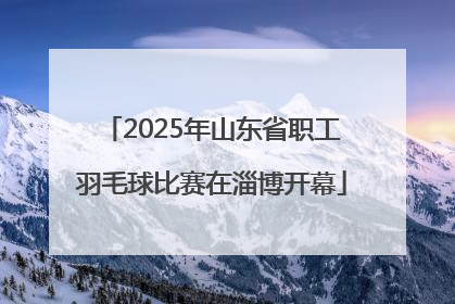 2025年山东省职工羽毛球比赛在淄博开幕