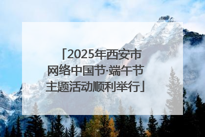 2025年西安市网络中国节·端午节主题活动顺利举行