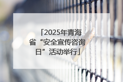 2025年青海省“安全宣传咨询日”活动举行