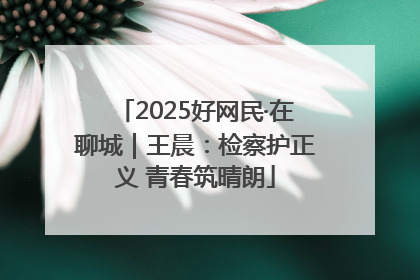 2025好网民·在聊城｜王晨：检察护正义 青春筑晴朗