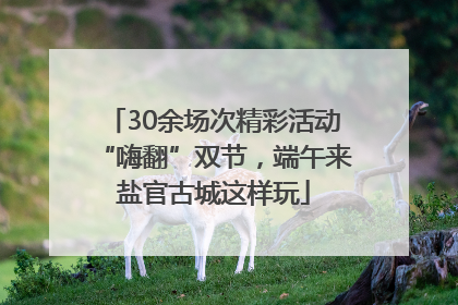 30余场次精彩活动“嗨翻”双节，端午来盐官古城这样玩