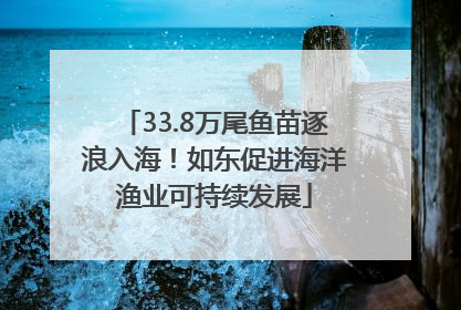 33.8万尾鱼苗逐浪入海！如东促进海洋渔业可持续发展