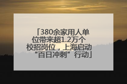 380余家用人单位带来超1.2万个校招岗位，上海启动“百日冲刺”行动
