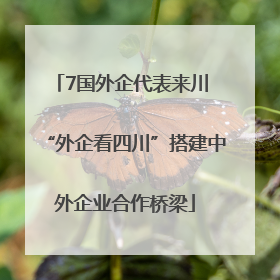 7国外企代表来川 “外企看四川”搭建中外企业合作桥梁
